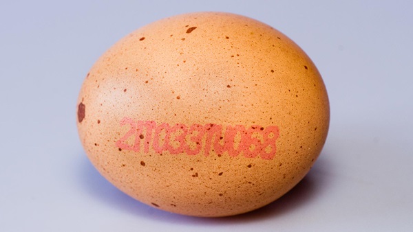 Fipronil en huevos